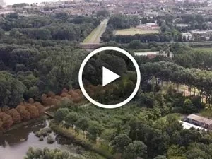 Biodiversiteitsverlies in de stad Almere
